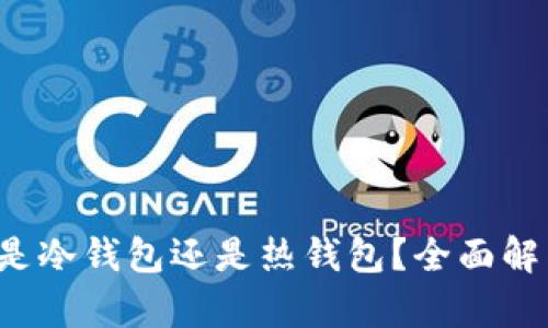  小狐狸钱包是冷钱包还是热钱包？全面解析与使用指南